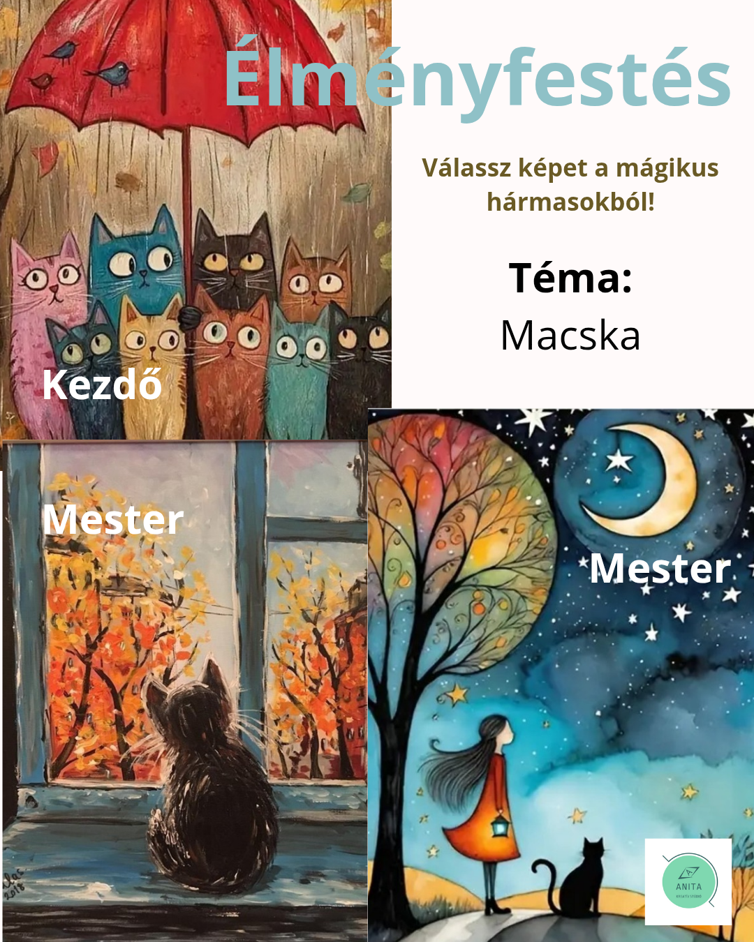 Élményfestés - Macskák